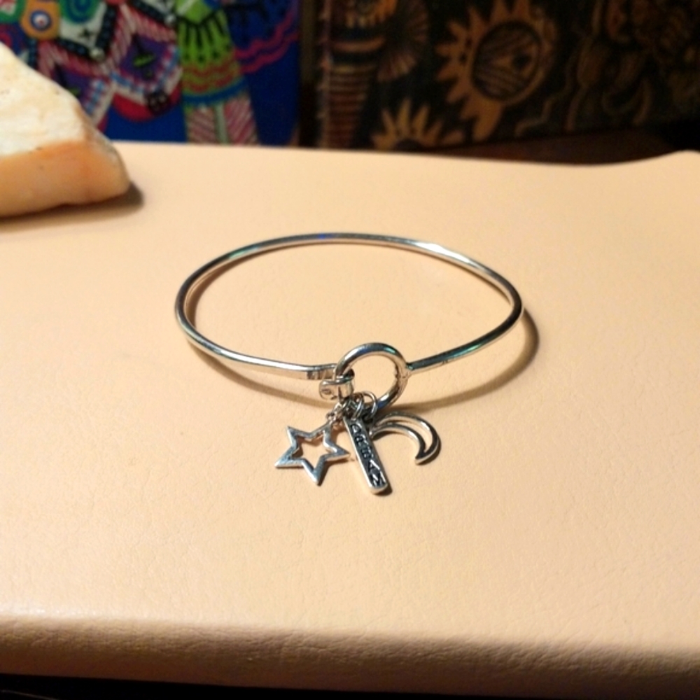 2 Silver Plated Bracelets with charms